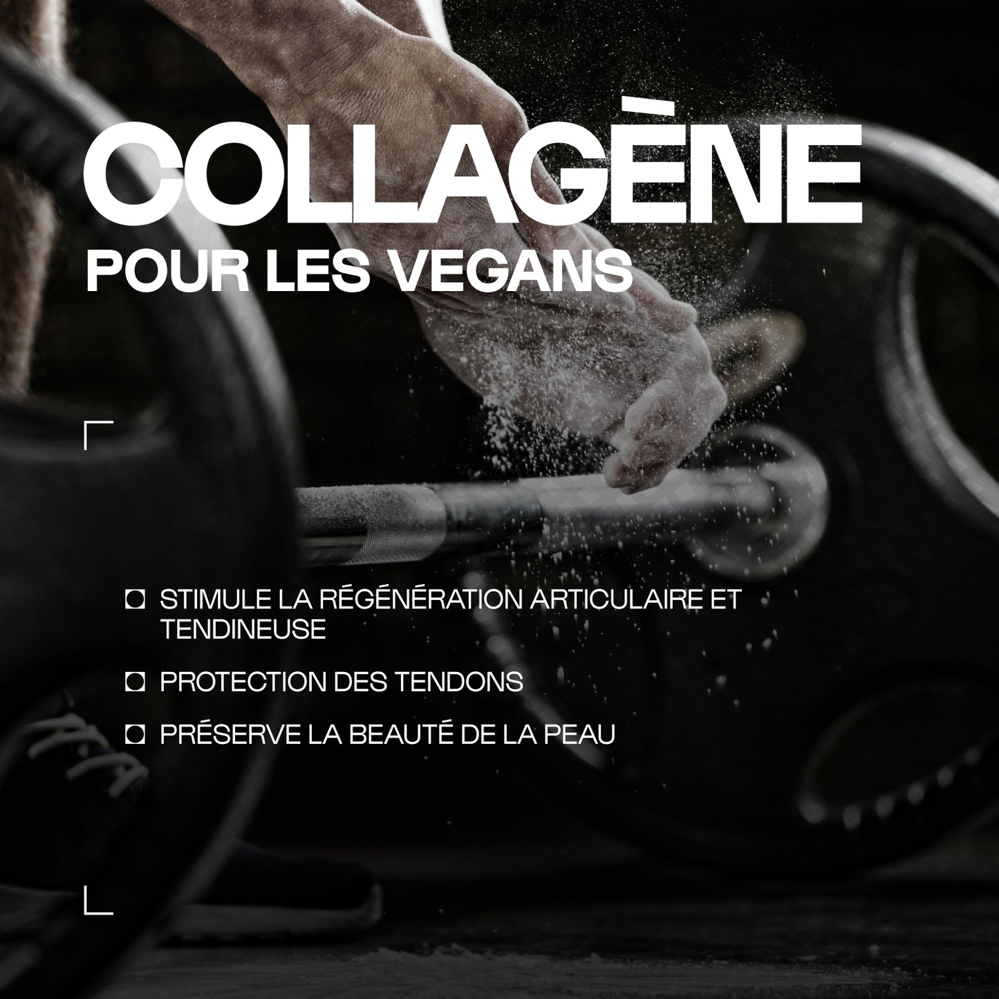 Acides Aminés du Collagène en gélules