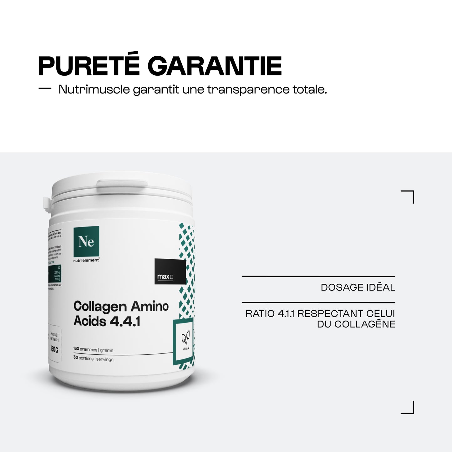 Un aminoacidi di collagene 4.4.1 polvere
