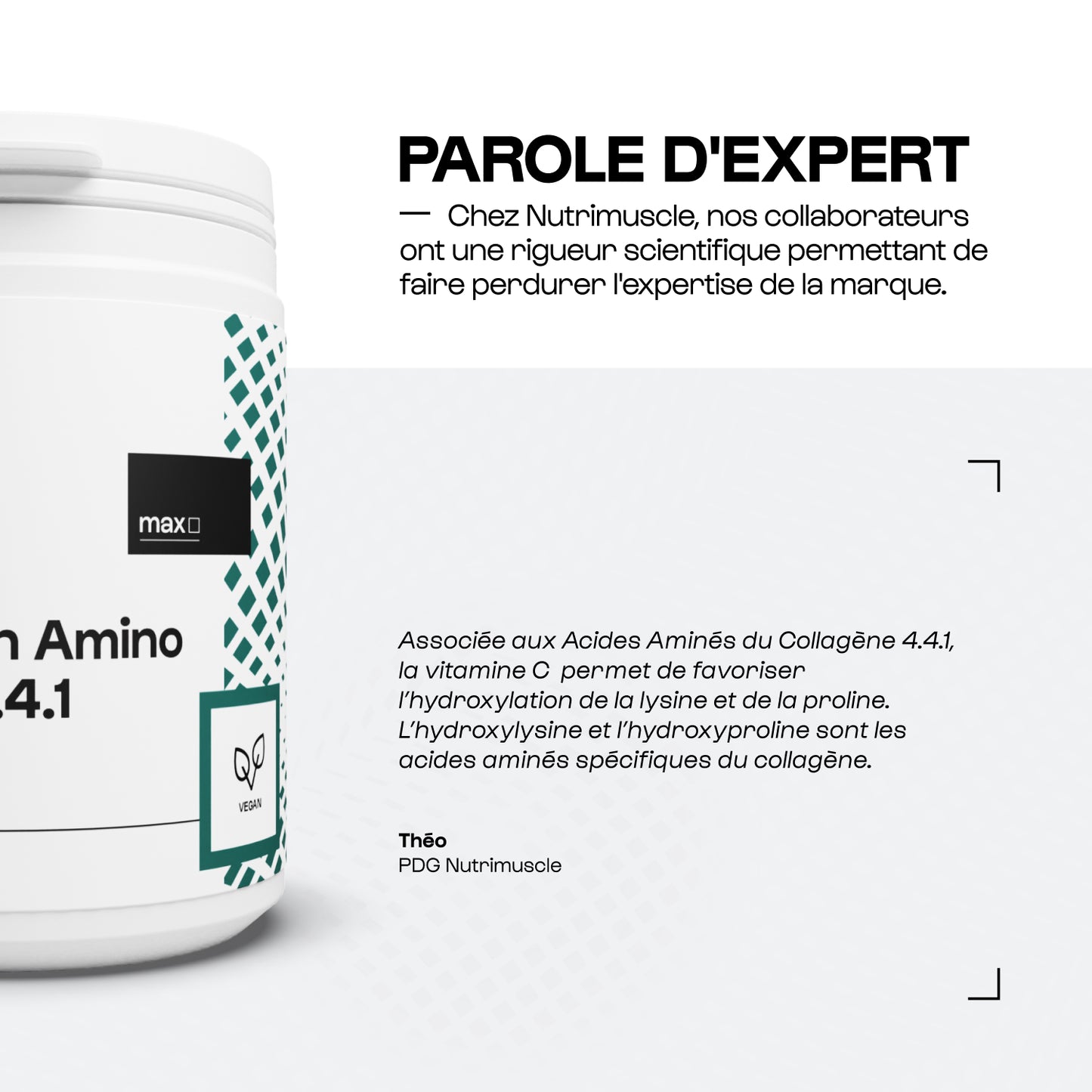 Un aminoacidi di collagene 4.4.1 polvere
