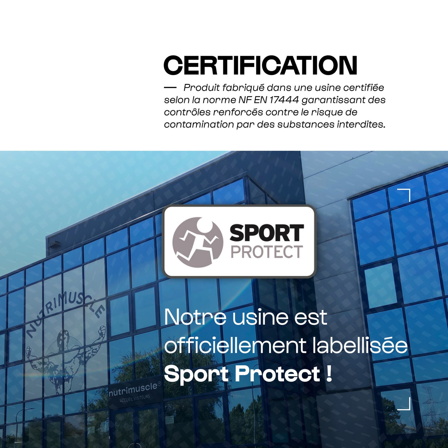 Natural Bio Burner : Mix Thé Vert & Maté Bio - Burner