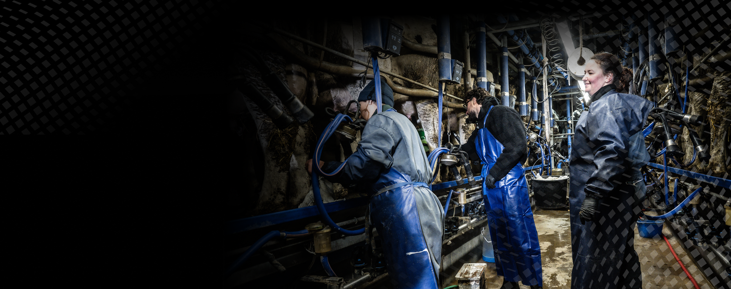 <p>La qualité de votre protéine commence bien avant le shaker. Découvrez comment le lait devient une protéine Nutrimuscle,<br/>étape par étape.</p>