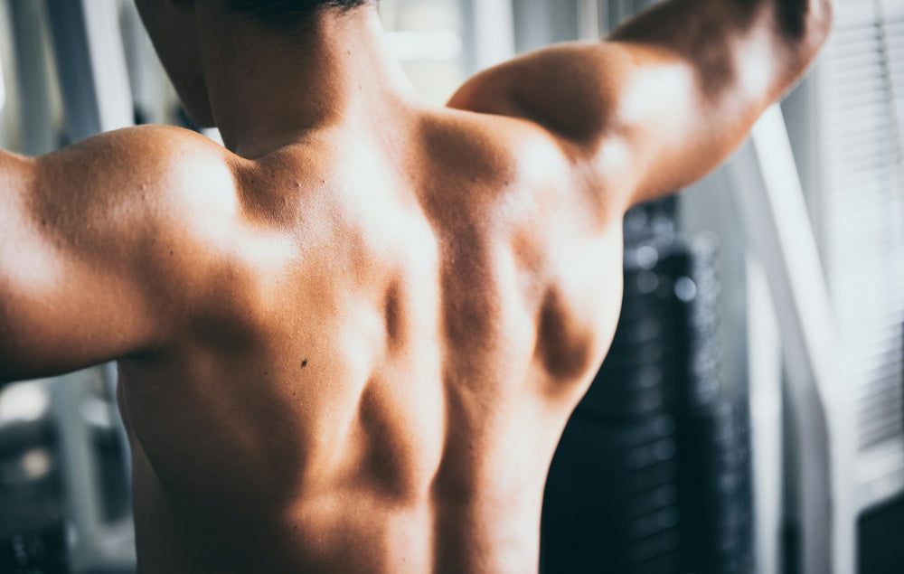 Le bodybuilding naturel