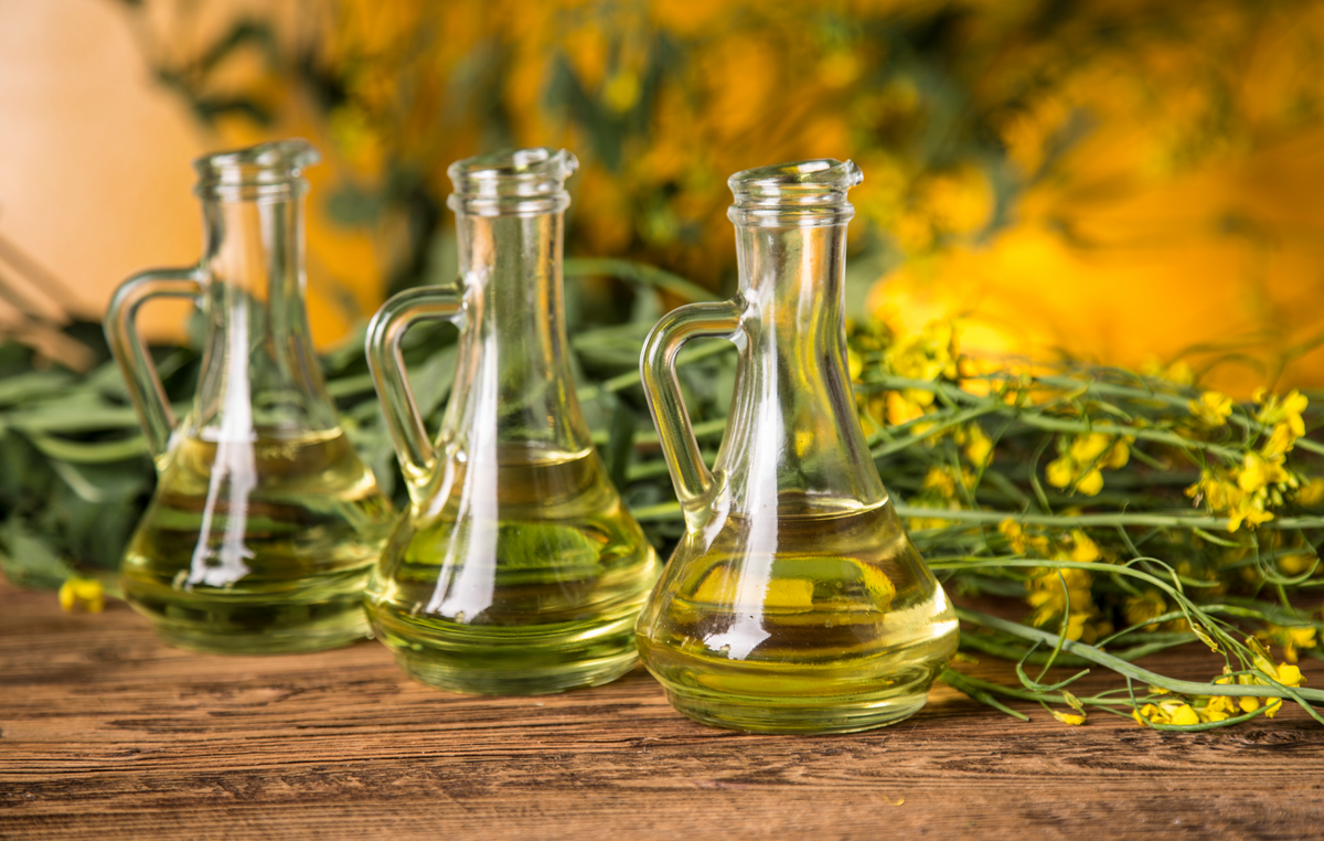 Les bienfaits de l'huile de colza