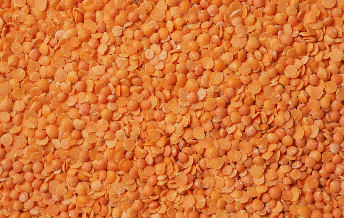 Les bienfaits des lentilles corail