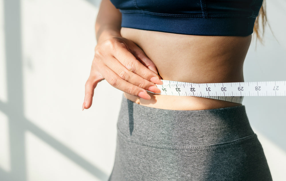 carnitine dosage