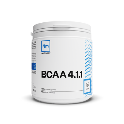 BCAA 4.1.1 Produttori di polveri