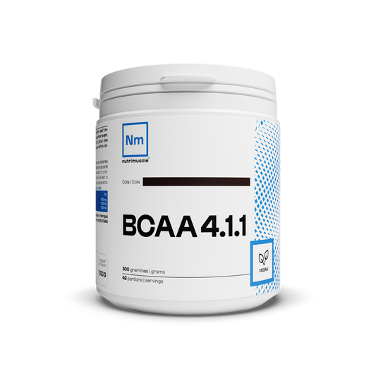 BCAA 4.1.1 Produttori di polveri