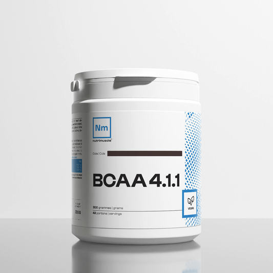 BCAA 4.1.1 Produttori di polveri