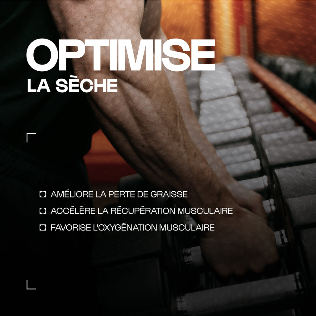 Carnitina carnipure® in polvere