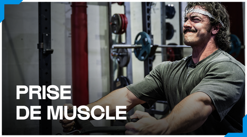 Prise de muscle