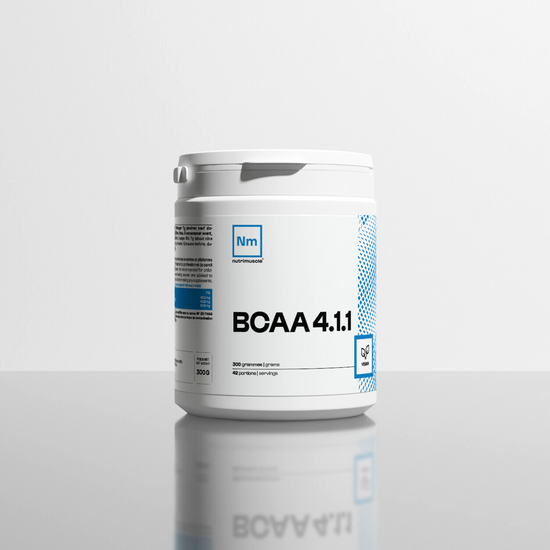 BCAA 4.1.1 Produttori di polveri
