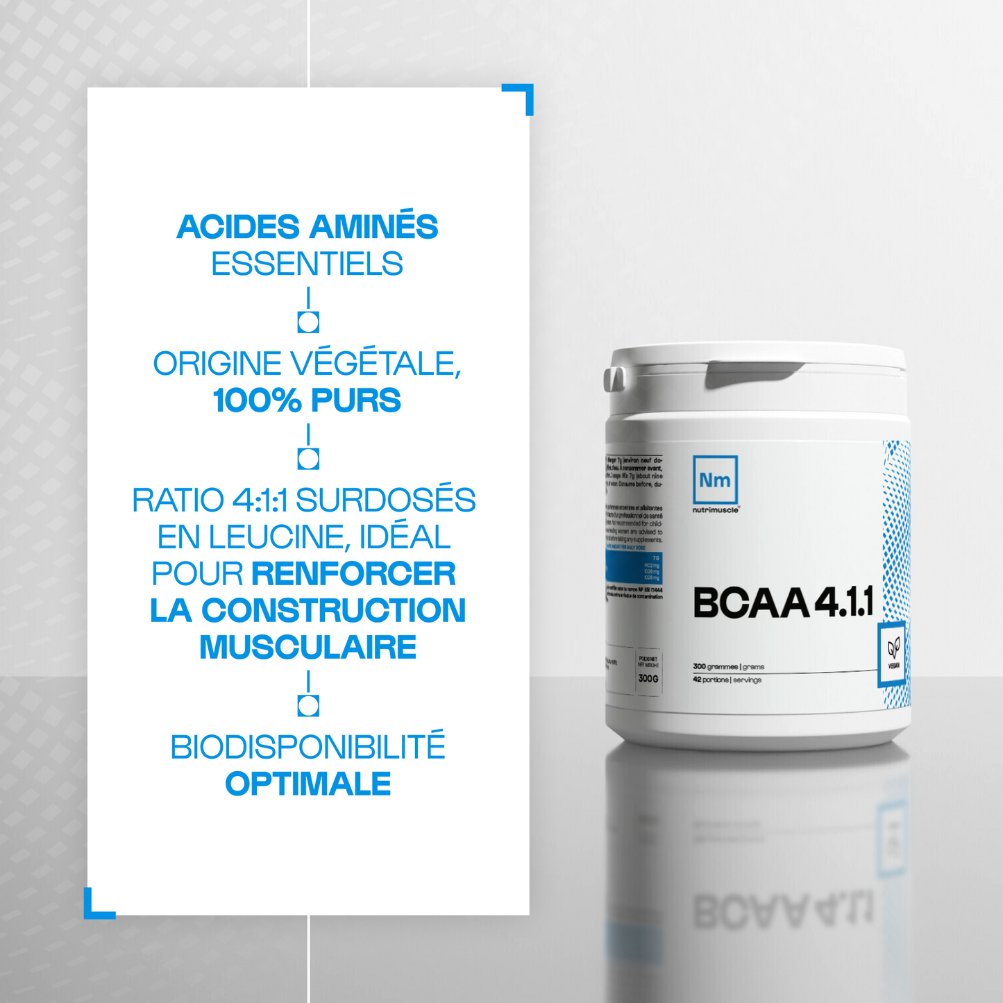 BCAA 4.1.1 Produttori di polveri