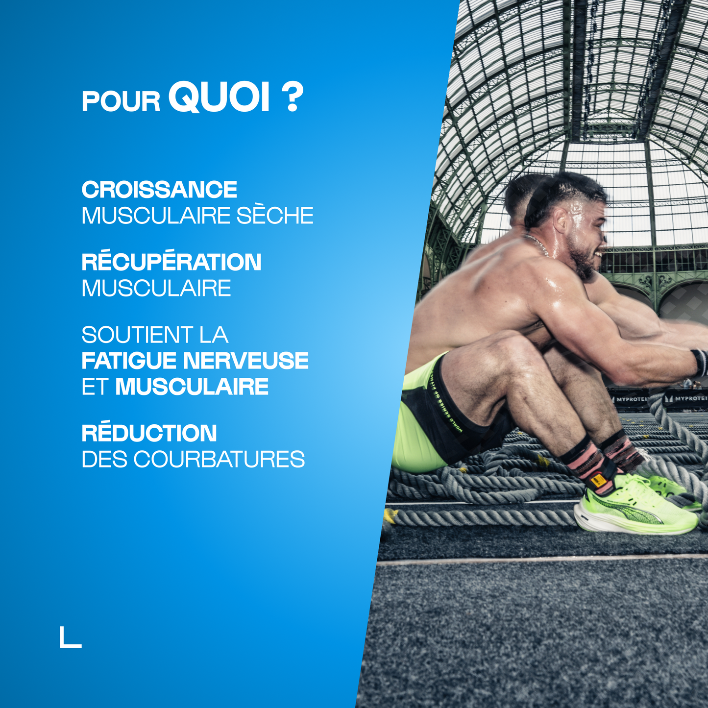 BCAA 4.1.1 Produttori di polveri