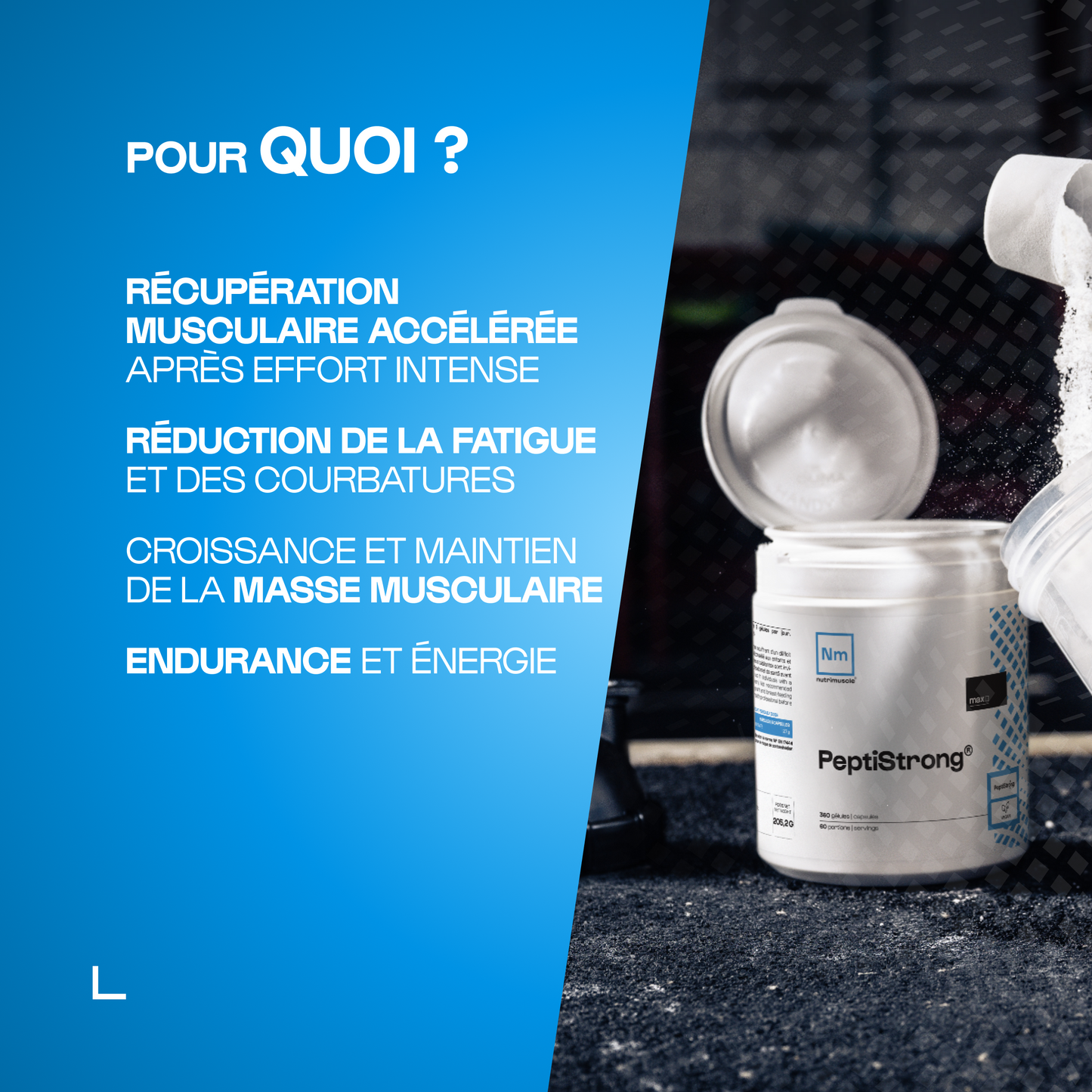 Peptistrong®️ en poudre