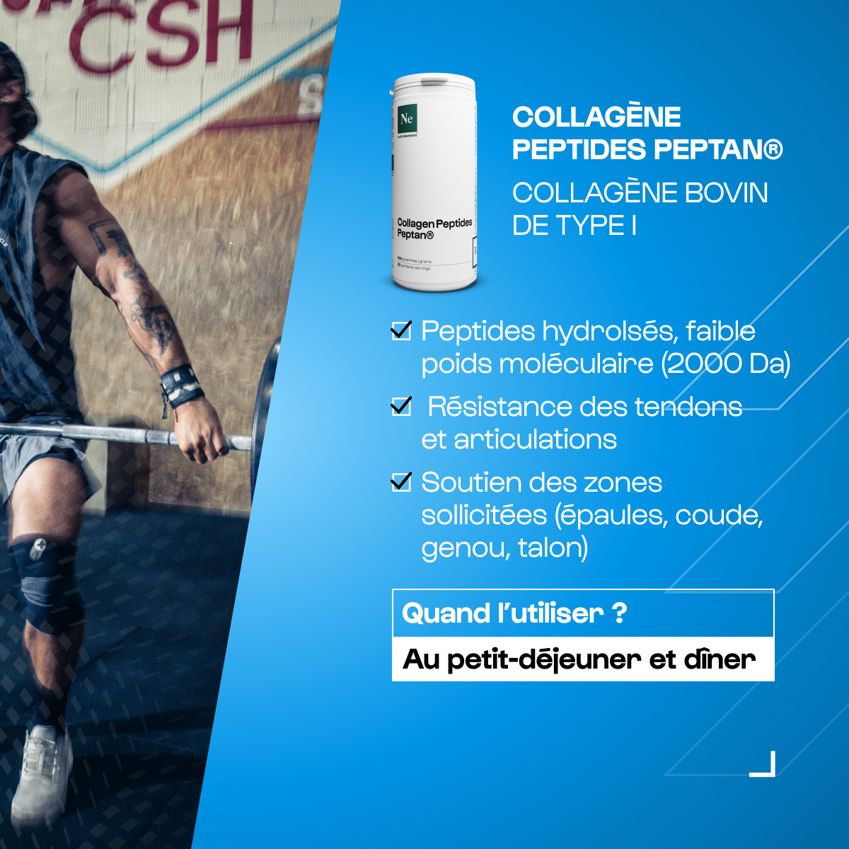 Pack Cross Training 1