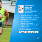 Pack Rugby