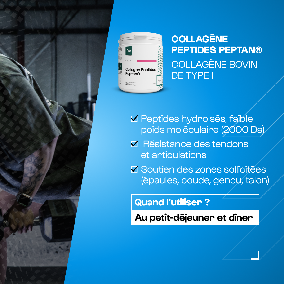 Pack Rentrée performance
