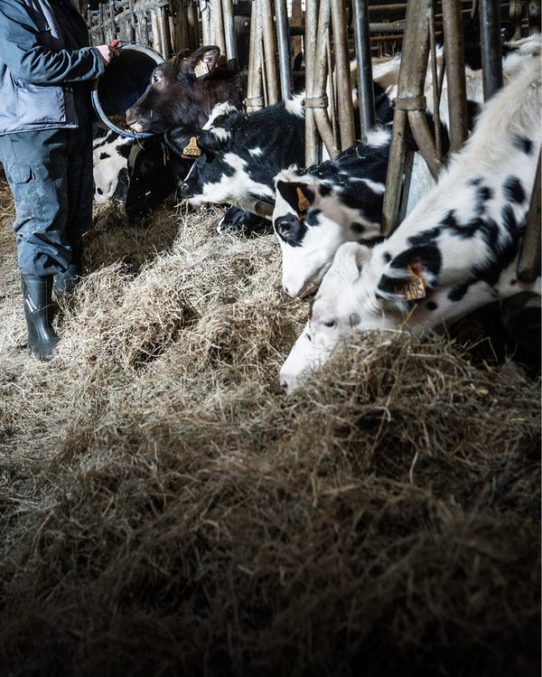 Fraîcheur garantie​