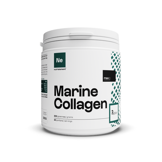 Collagen Marin Peptan® 1 in polvere