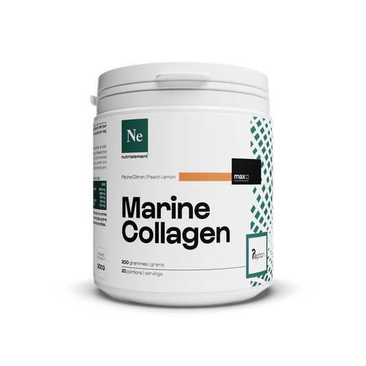 Collagen Marin Peptan® 1 in polvere