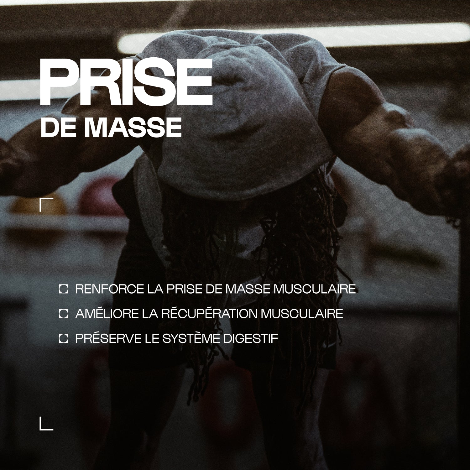 Musclemasse - Hard Gainer