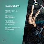 Multiminéraux Max en poudre