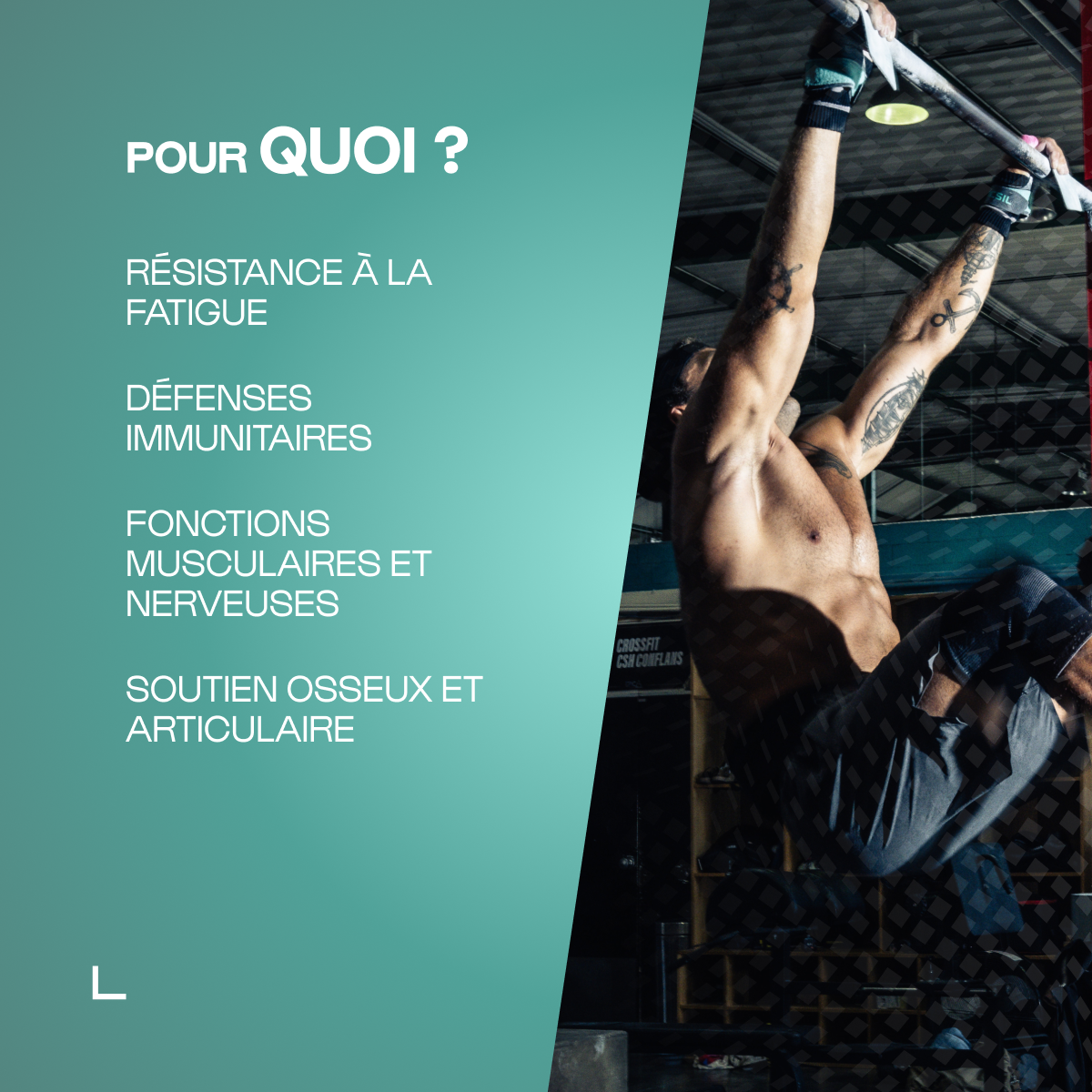Multiminéraux Max en poudre