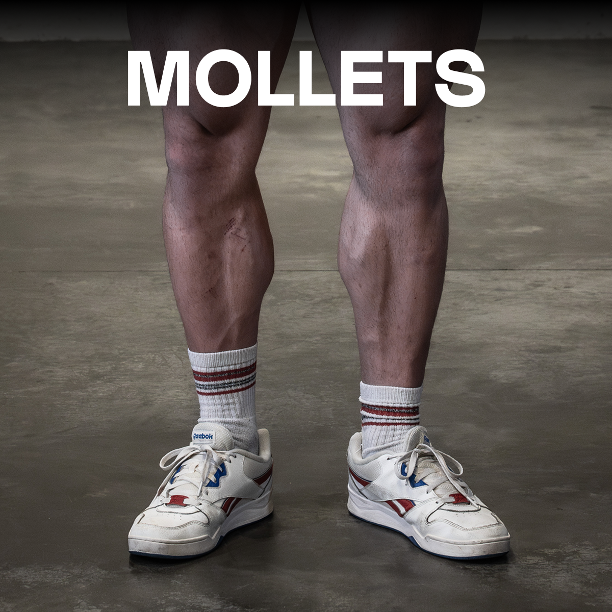 mollets samuel